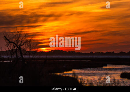 September-Sonnenuntergang auf Assateague Insel Stockfoto