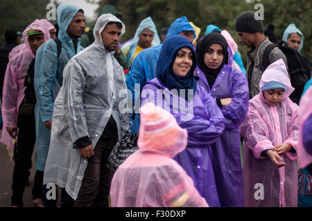 Bapska, Kroatien. 23. Sep, 2015. Flüchtlinge, die darauf warten, die Serbisch-kroatische Grenze überschreiten können. © Ivan Romano/Pacific Press/Alamy Live-Nachrichten Stockfoto