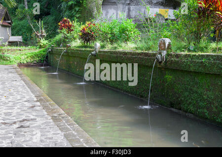 Die heiligen Quellen bei Pura Gunung Kawi Tempel, Tampaksiring, Bali, Indonesien Stockfoto