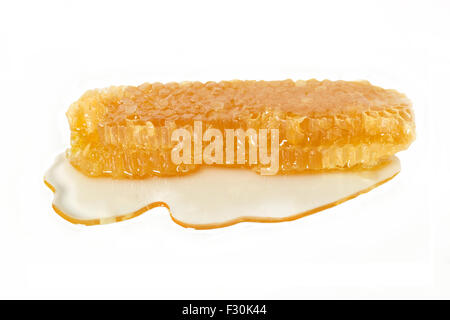 Waben-Bar / Stick aus frischen griechischen wilder Thymian Bio-Honig-Ausschnitt mit Honig Sirup. Flache Frontansicht / Perspektive. Stockfoto