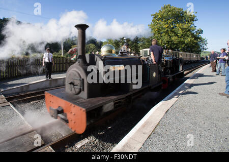 Aberystwyth, Wales, UK. 27. September 2015. Strahlender Sonnenschein begrüßt die Teilnehmer in den "Vale of Rheidol Dampf Festival: der vergessenen Motoren zum Capel Bangor Halt. Das Festival hat am Vale des Rheidol Schmalspurbahn zwischen Aberystwyth und Teufels Brücke große Massen von Passagieren und Dampf-Bahn-Enthusiasten aus Partikelemissionen Großbritannien gezogen. Das Festival endet um 17:30 am Sonntag. Das Bild zeigt die kleinen Motoren "Winifred" (1885) und "Sybil Mary" (1906) Rangieren mit dem Pferdewagen in Capel Bangor. Stockfoto