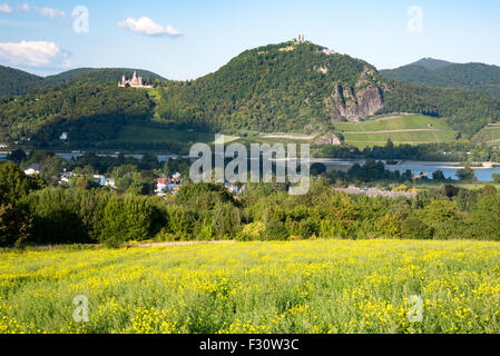 Rheintal, Ansicht der Region Siebengebirge mit Drachenfels Castle, in der Nähe von Bonn Stockfoto