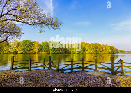Holzsteg mit dem Zaun und Laub auf Holzboden am See gegen bunte Bäume im Herbst Stockfoto