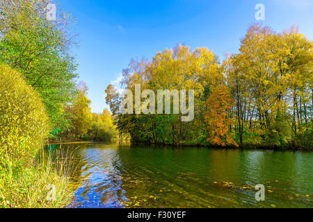 Verschiedene farbige Bäume und Sträucher im Sonnenlicht spiegelt sich im See im öffentlichen Park im Herbst Stockfoto