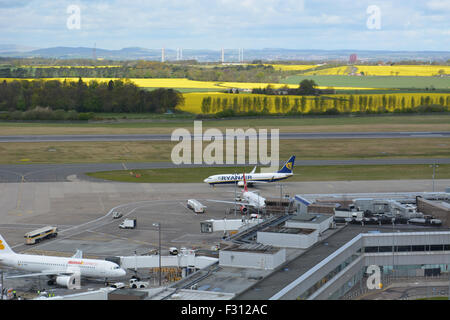 Eine Ryanair B737, Iberia Express A320 und ein Virgin Atlantic A320 auf dem Vorfeld des Flughafens Edinburgh im Sommer 2015. Stockfoto