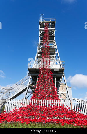 Weinend Fenster mit Keramik Mohnblumen von Paul Cummins und Tom Piper, Woodhorn Zeche, Ashington, Northumberland, England, UK Stockfoto