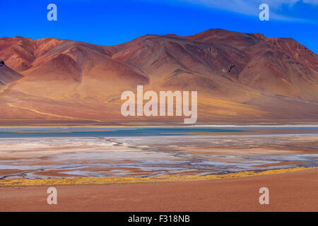 Salar de Tara mit farbigen Hügeln im Hintergrund (Nationalpark Los Flamencos, Atacama, Chile) Stockfoto