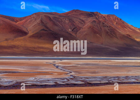 Salar de Tara mit farbigen Hügeln im Hintergrund (Nationalpark Los Flamencos, Atacama, Chile) Stockfoto