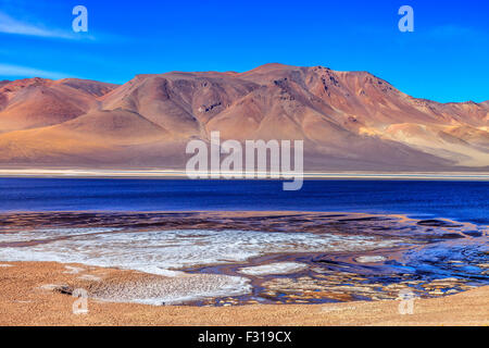 Salar de Tara mit farbigen Hügeln im Hintergrund (Nationalpark Los Flamencos, Atacama, Chile) Stockfoto