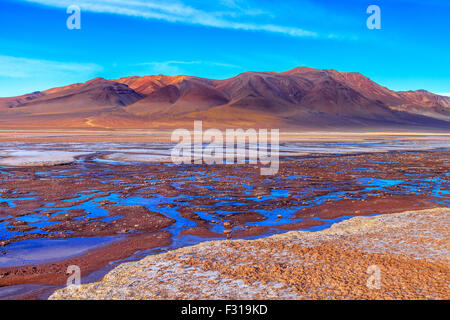 Salar de Tara mit farbigen Hügeln im Hintergrund (Nationalpark Los Flamencos, Atacama, Chile) Stockfoto