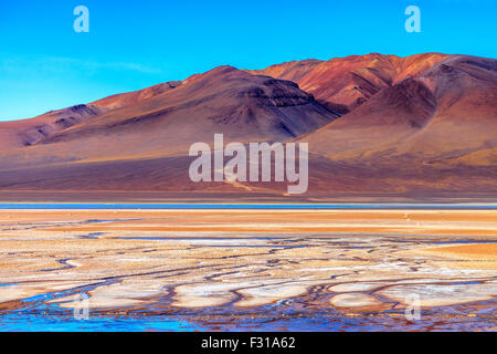 Salar de Tara mit farbigen Hügeln im Hintergrund (Nationalpark Los Flamencos, Atacama, Chile) Stockfoto