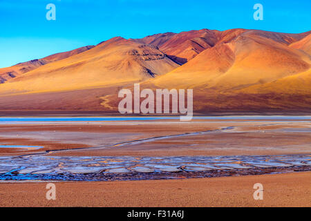 Salar de Tara mit farbigen Hügeln im Hintergrund (Nationalpark Los Flamencos, Atacama, Chile) Stockfoto