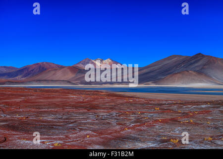 Las Piedras Rojas. Salar de Aguas Calientes (Los Flamencos Nationalreservat) Stockfoto