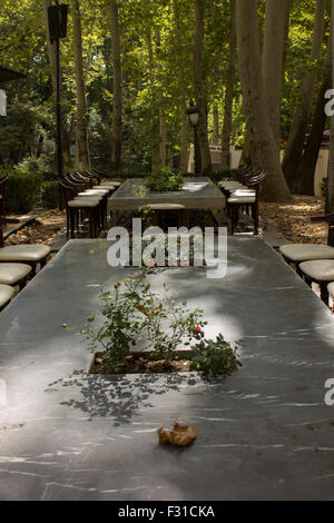 Café-Restaurant im Garten der Sa'dabsd-Palast, Tehra, Iran Stockfoto