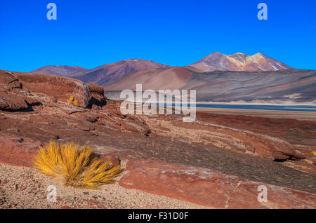 Las Piedras Rojas. Salar de Aguas Calientes (Los Flamencos Nationalreservat) Stockfoto