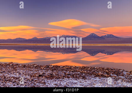 Volcan Licancabur spiegelt sich in Laguna Tebinquinche bei Sonnenuntergang Stockfoto