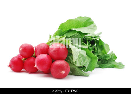 frische Radieschen auf weißem Hintergrund Stockfoto