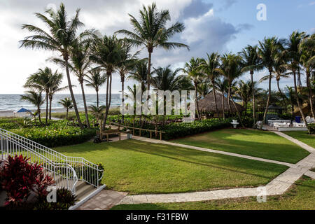 Delray Beach Florida, Wright by the Sea, Hotel, alt, Atlantischer Ozean, Palmen, Tiki-Hütte, Cabana, FL150415001 Stockfoto