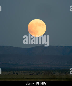 Steigende Supermoon von Marathon, West-Texas, am 27. September 2015 gesehen. Stockfoto