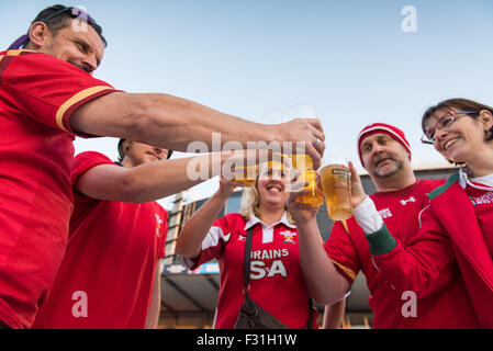 Walisischer Rugby-Fans feiern mit Pints Bier Stockfoto