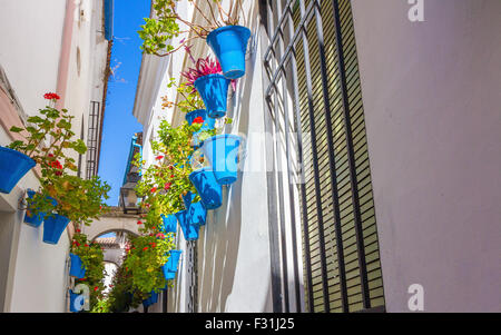 Typische Fenster mit Gitter und dekorative Blumen in der Stadt Córdoba, Spanien Stockfoto