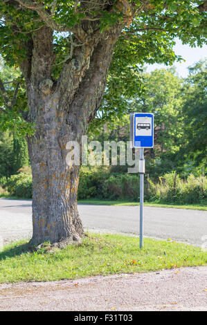 Bushaltestelle-Zeichen unter malerischen Ahornbaum Stockfoto