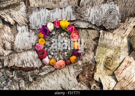 Getrocknete Rosen Blütenblatt Ring auf Hintergrund der Rinde gemacht Stockfoto