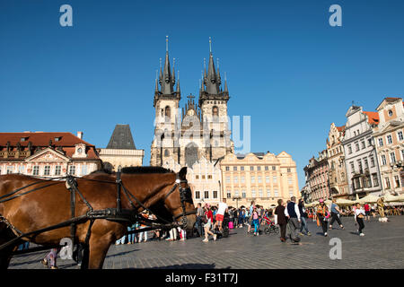 Prag, Tschechische Republik - 4. Juni 2015: The Church of Our Lady vor Tyn ein dominantes Merkmal der Altstadt von Prag, Tschechien ist Stockfoto