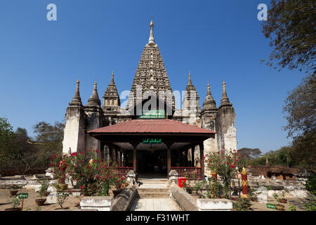 Maha Bodhi Pagode, Old Bagan. Stockfoto