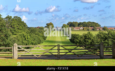 Queen Anne Fahrt im Windsor Great Park mit Schloss im Hintergrund Stockfoto