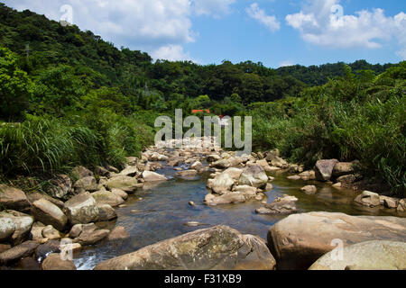 schöne Bach im Wald Taiwan Stockfoto
