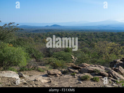 Tansania, Serengeti Plateau, Lake Eyasi Hadzabe Stammes Wald Stockfoto