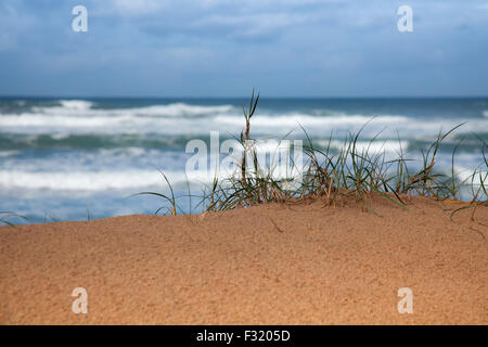 Blick auf das Meer Stockfoto