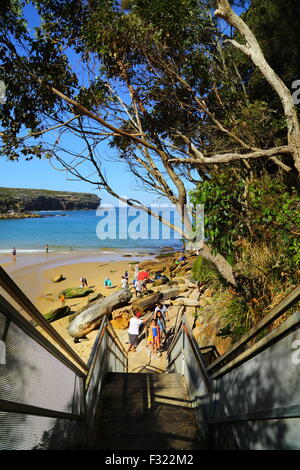 Stufen führen hinunter zu Wattamolla Strand an der Küste von New South Wales südlich von Sydney, in der Royal National Park. Stockfoto