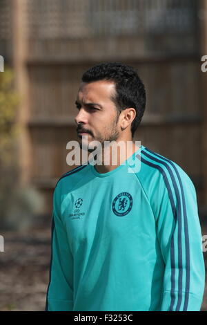 Cobham, Surrey, UK. 27. Sep, 2015. Pedro kommt der Trainingsplatz als Chelsea Football Club Spieler Zug Kredit für ihre Champions-League-Spiel gegen den FC Porto Morgen: Motofoto/Alamy Live News Stockfoto