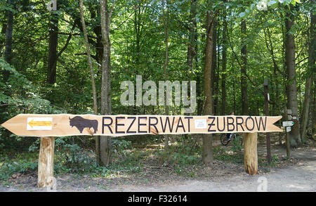 Białowieża Wald, Nationalpark Bialowieza, Polen, Europa Stockfoto