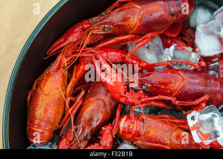 Schließen Sie herauf Bild von Krebsen auf Eis. Stockfoto