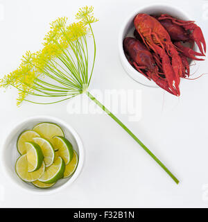 Bild eines eleganten Mahlzeit von Krebsen. Stockfoto