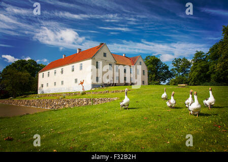 Bild des mittelalterlichen Herrenhaus in Tommarp, mit Gänsen auf dem Rasen. Stockfoto