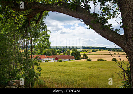 Bild von einem traditionellen schwedischen Famrhouse. Ravlunda, Osterlen. Stockfoto