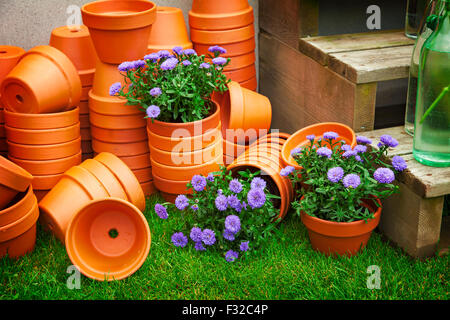 Bild von roten Terrakotta-Blumentöpfe. Stockfoto