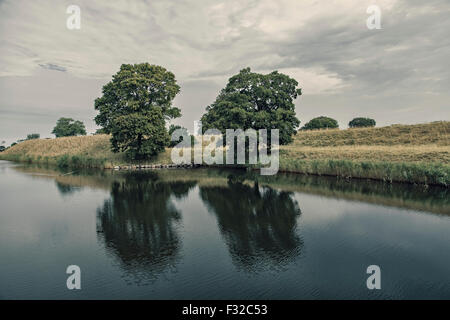 Bild der Bäume im Wasser im frühen Morgenlicht. Landskrona, Schweden. Stockfoto