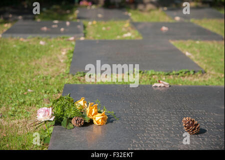 Grabsteine mit Namen der Toten, anonymen Grab Wiese in der Friedhof von Düsseldorf-Heerdt, NRW, Deutschland Stockfoto