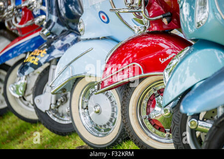 Sammlung von klassischen Lambretta und Vespa Roller Stockfoto