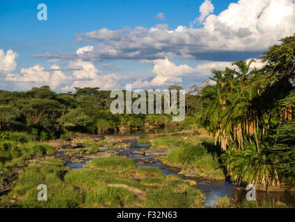 Tansania, Mara, Serengeti Nationalpark, Palmen gesäumten Ufer eines kleinen Flusses fließt durch eine üppige Savanne Wiese Stockfoto