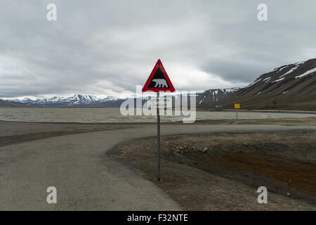 Ein Eisbär Kreuzung Zeichen auf Spitzbergen Stockfoto