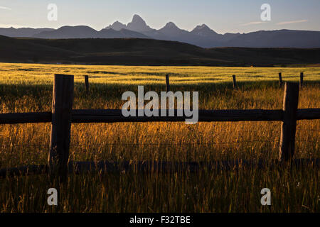 Filz, Idaho - The Teton Bergkette von landwirtschaftlichen Flächen im östlichen Idaho. Stockfoto