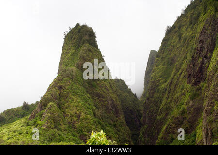 Die Iao Needle, Iao Valley National Natursehenswürdigkeit in West Maui, Hawaii, an einem nebligen Tag im August Stockfoto