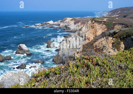 Bodega Head Halbinsel und felsige Küste aus Pazifischen Ozean in Sonoma coast State Park in Kalifornien Stockfoto