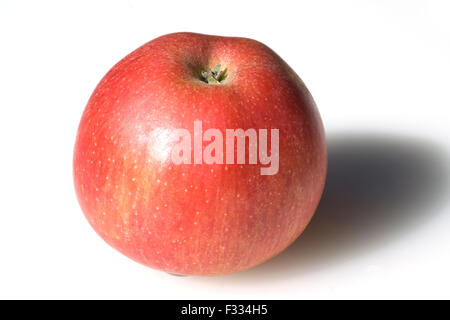 Elstar, Apfel, Malus, Domestica, Stockfoto